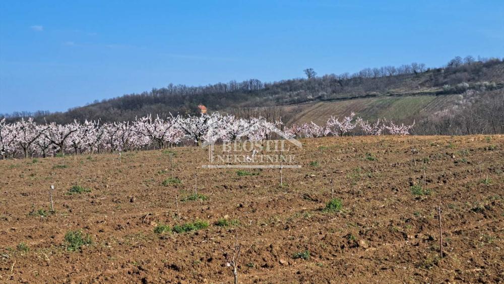 Plac Prodaja Beograd Plac Prodaja Beograd Brestovik 0 m2