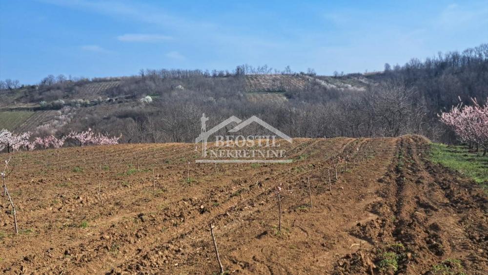 Plac Prodaja Beograd Plac Prodaja Beograd Brestovik 0 m2
