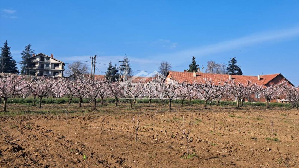 Plac Prodaja Beograd Plac Prodaja Beograd Brestovik 0 m2