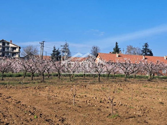 Plac Prodaja Beograd Brestovik 0 m2