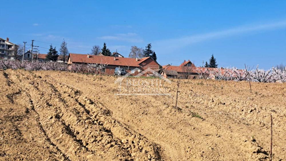 Plac Prodaja Beograd Plac Prodaja Beograd Brestovik 0 m2
