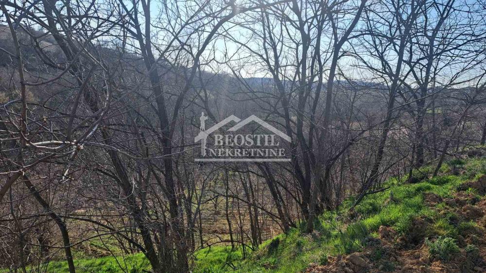132024922_9_20260401142109 Plac Prodaja Beograd Brestovik 0 m2