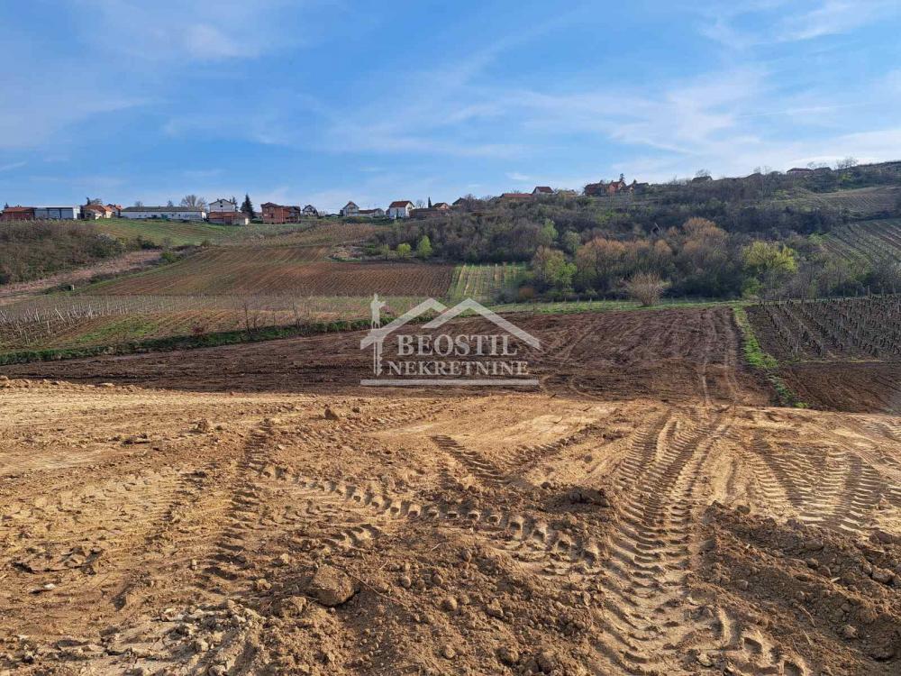132025318_11_20260619081829 Plac na prodaju, Brestovik, Beograd, 32.000 €