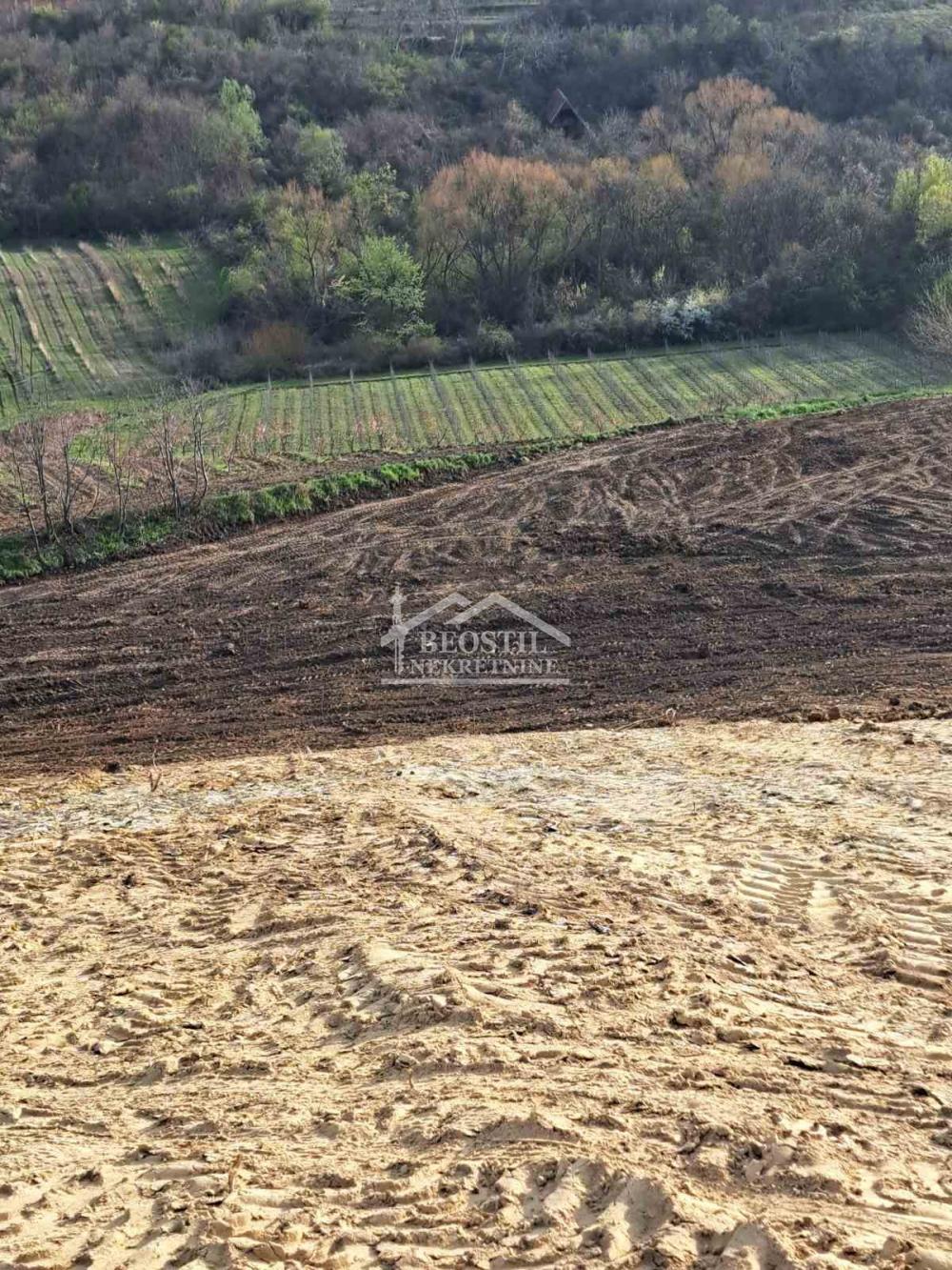 132025318_12_20260619081830 Plac na prodaju, Brestovik, Beograd, 32.000 €