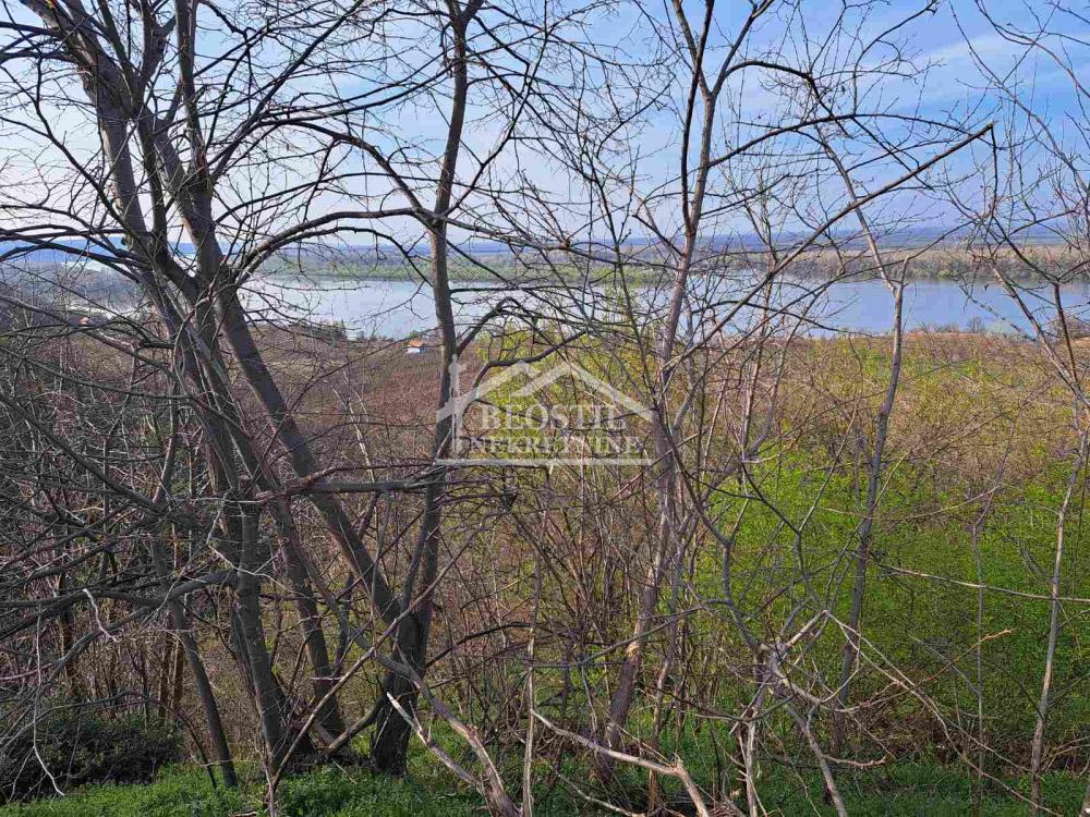 132025318_13_20260619081830 Plac na prodaju, Brestovik, Beograd, 32.000 €