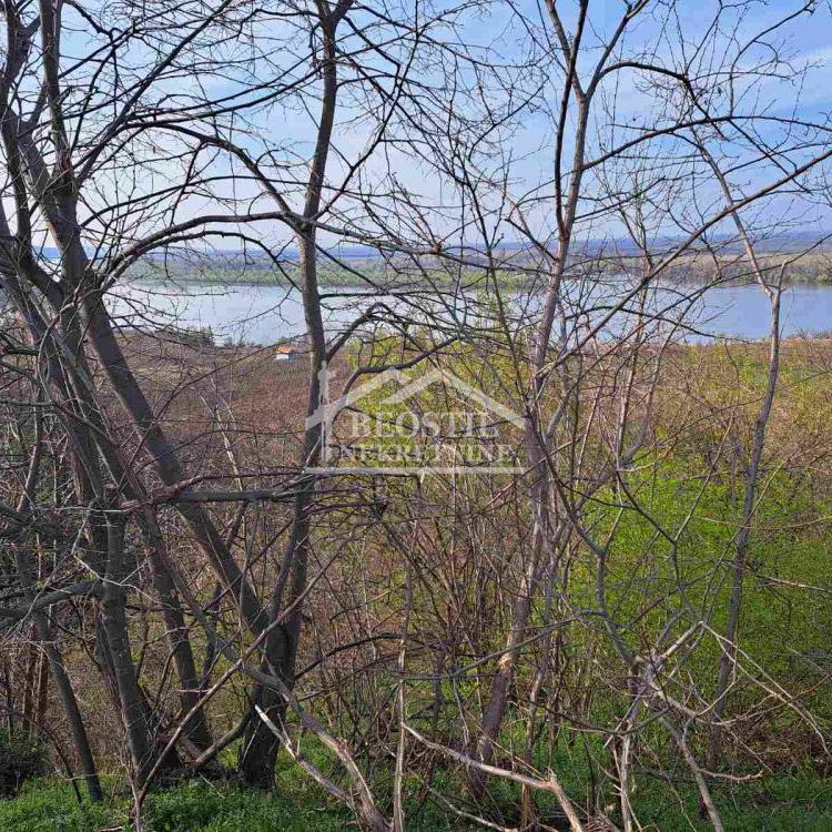 Plac na prodaju, Brestovik, Beograd, 32.000 €