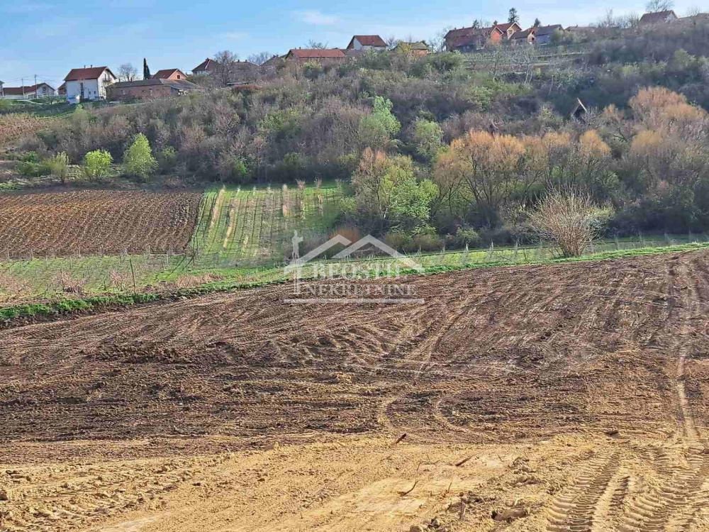 132025318_15_20260619081831 Plac na prodaju, Brestovik, Beograd, 32.000 €