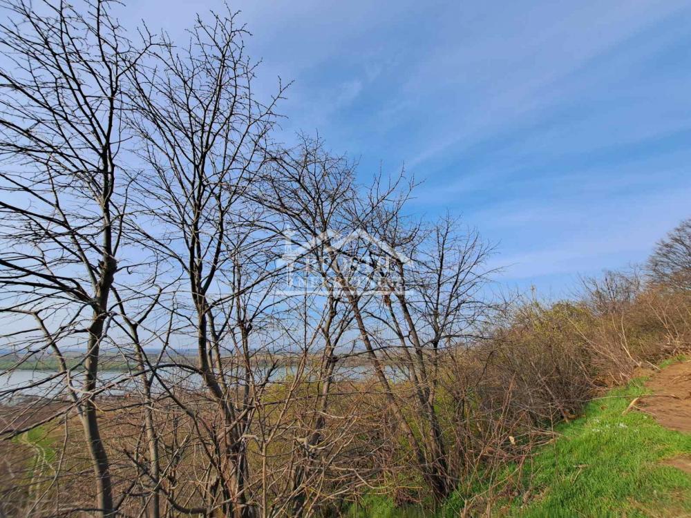 132025318_16_20260619081832 Plac na prodaju, Brestovik, Beograd, 32.000 €