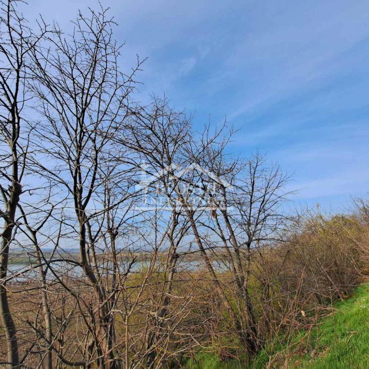 Plac na prodaju, Brestovik, Beograd, 32.000 €