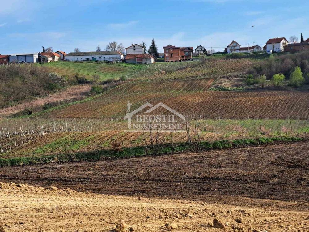 Plac Prodaja Beograd Plac Prodaja Beograd Brestovik 0 m2