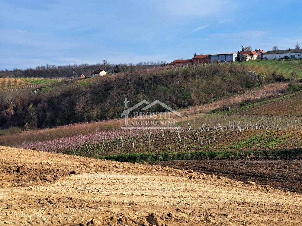 Plac Prodaja Beograd Plac Prodaja Beograd Brestovik 0 m2