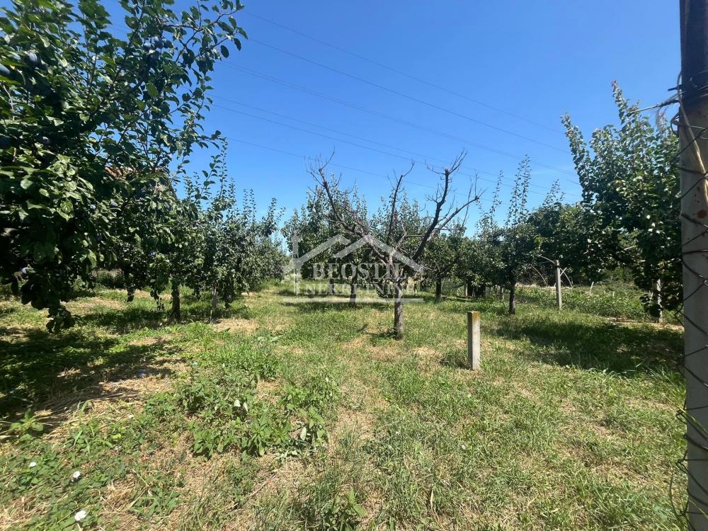 132025542_14_20260730152656 Kuća na prodaju, Papazovac, Smederevo, 250m², 168.000 €