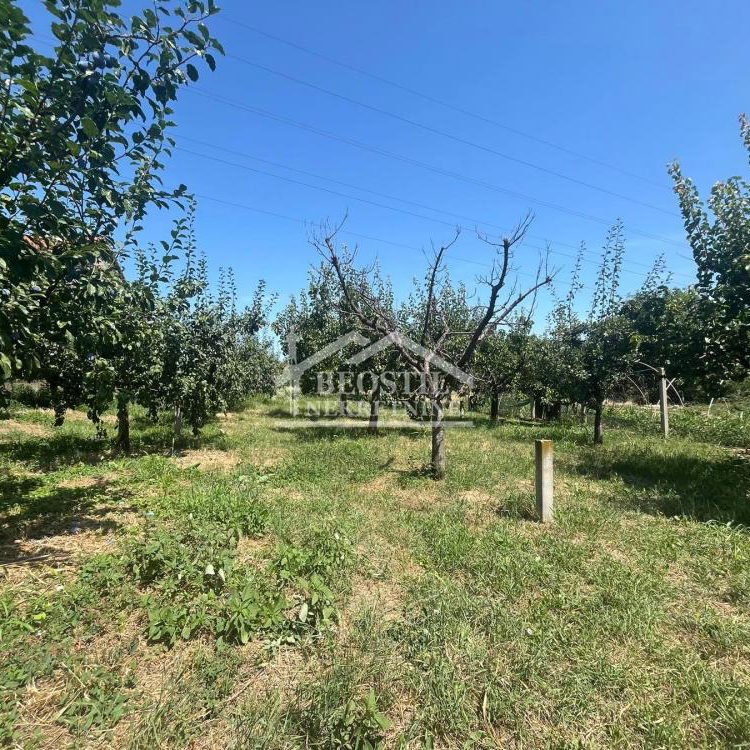 Kuća na prodaju, Papazovac, Smederevo, 250m², 168.000 €