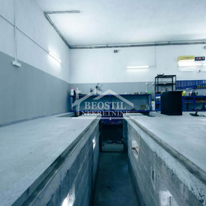 Lokal Izdavanje Beograd Ledine 120 m2