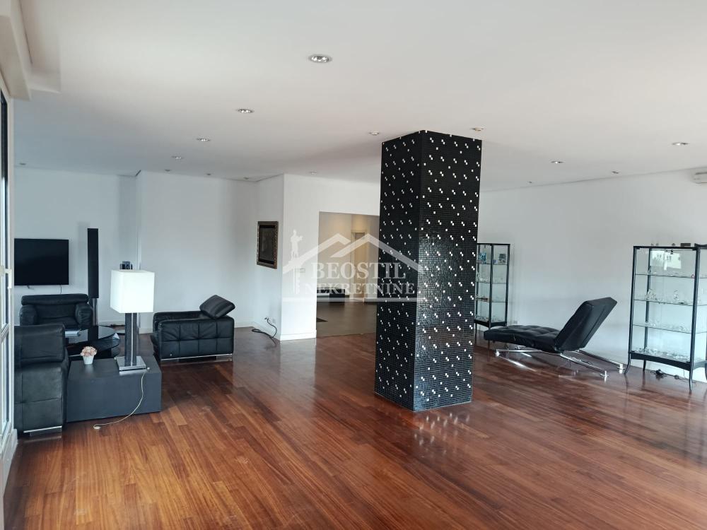 132025798_17_20260914101717 Višesoban stan za izdavanje, Botanička Bašta, Beograd, 370m², 2.900 €/mes