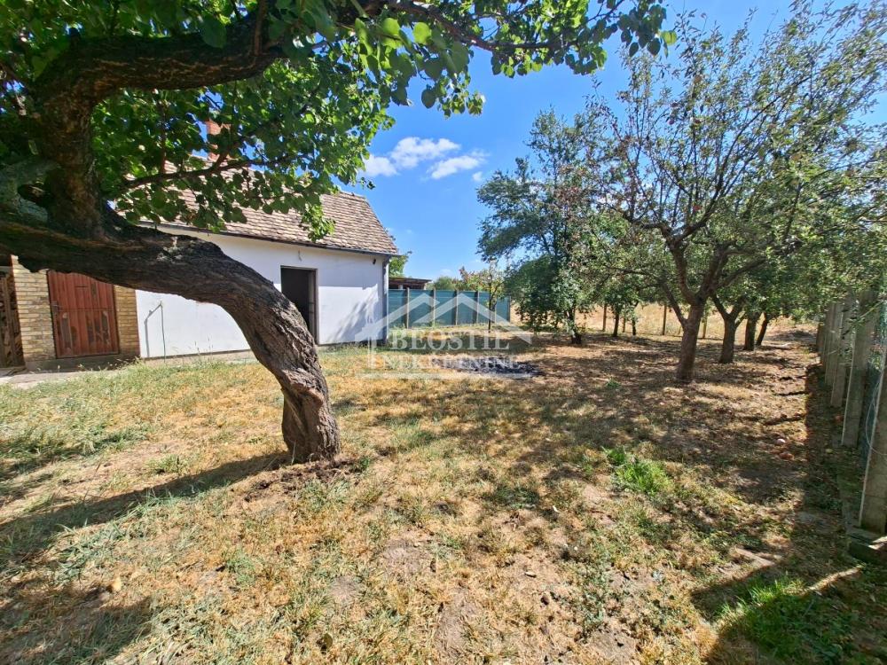Kuća Prodaja Stara Pazova Kuća Prodaja Stara Pazova 320 m2