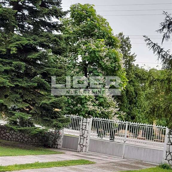 Kuća Prodaja Opovo  347 m2
