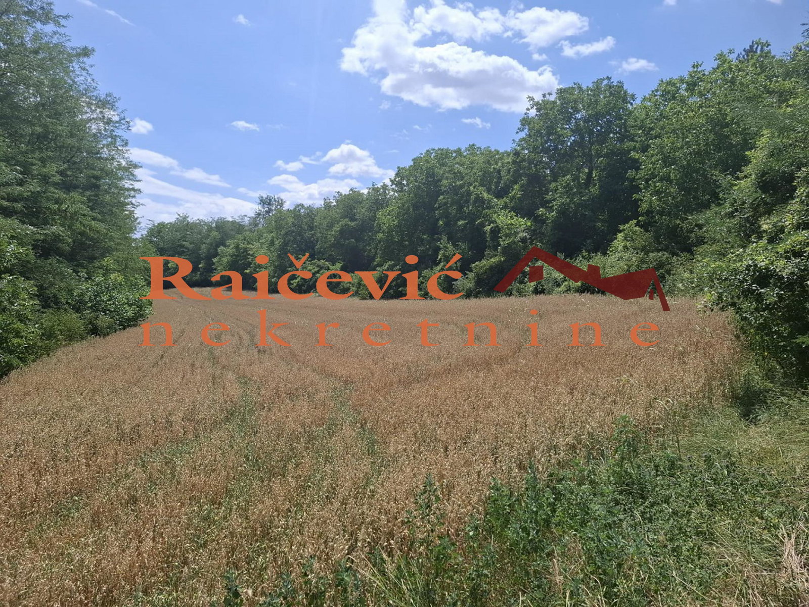 Plac Prodaja   14210 m2
