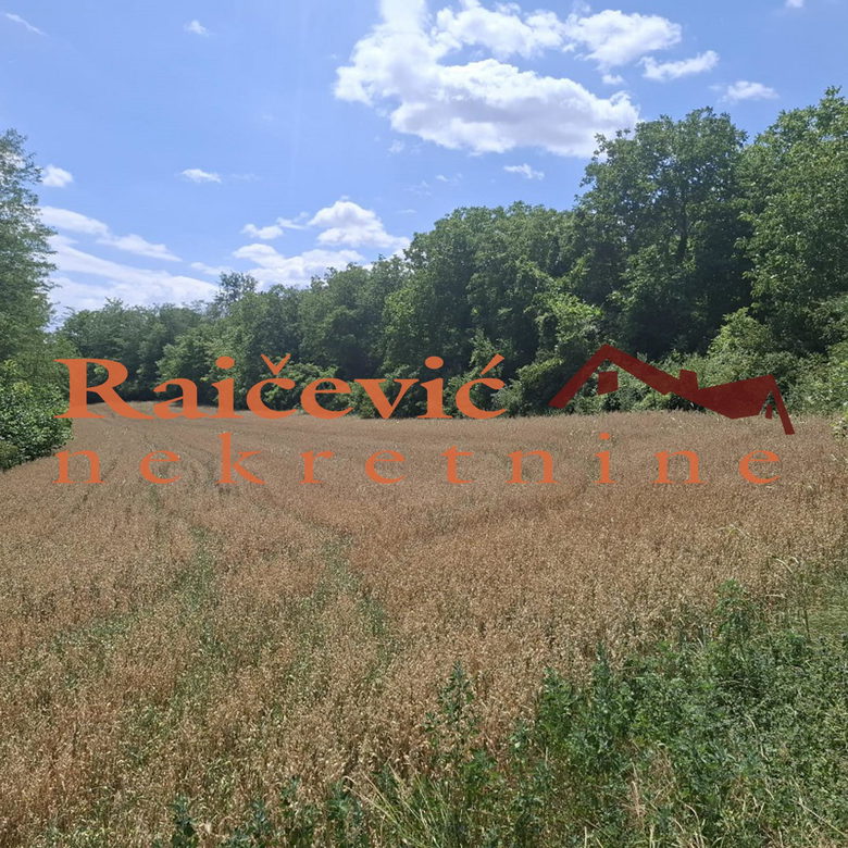 Plac Prodaja   14210 m2