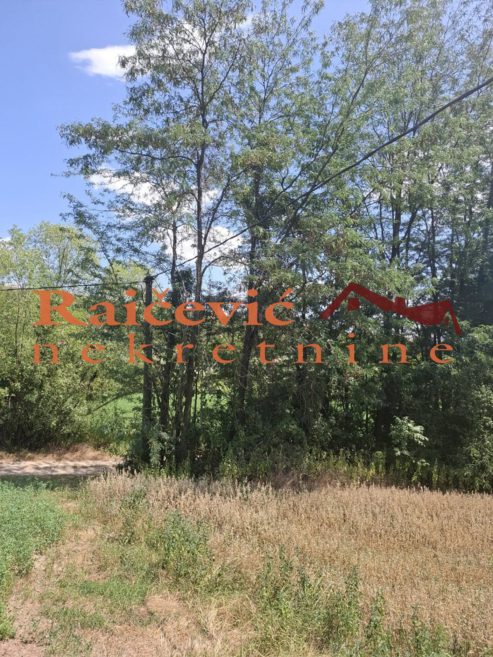 Plac Prodaja   14210 m2