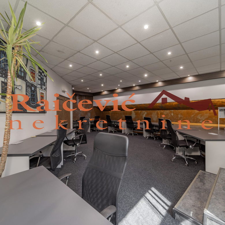 Lokal Izdavanje Beograd Banovo Brdo 315 m2