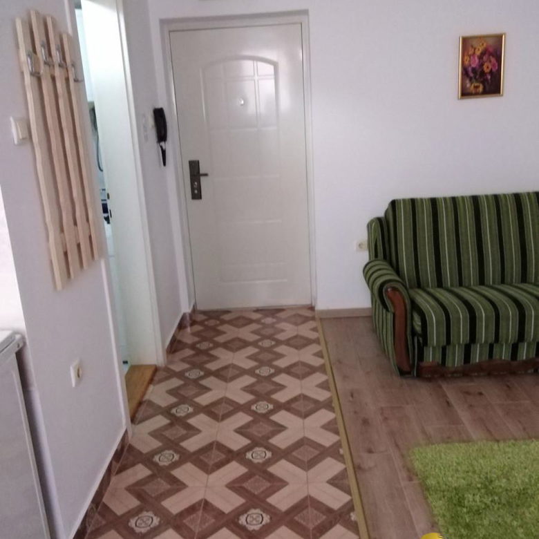 Stan Izdavanje Novi Sad Cara Dušana 25 m2