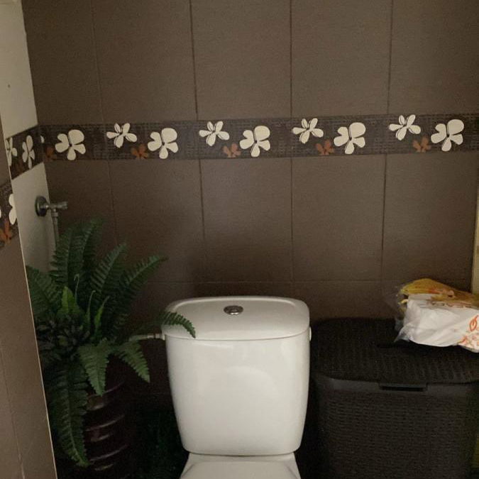 Stan Izdavanje Novi Sad  50 m2