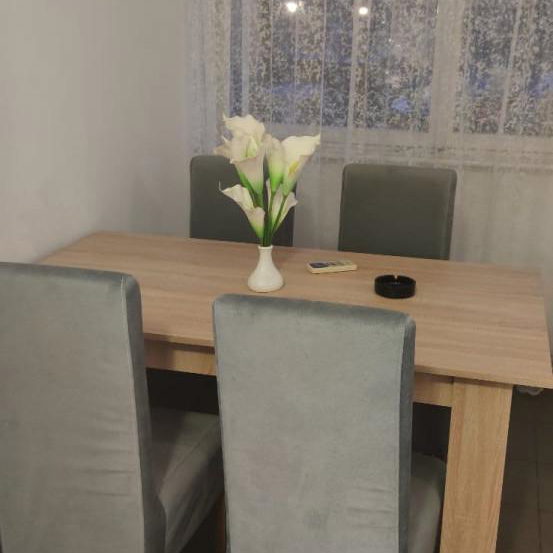 Stan Prodaja Novi Sad Liman 2 59 m2