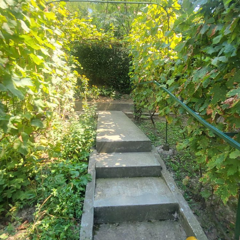 Stan Izdavanje Novi Sad  51 m2
