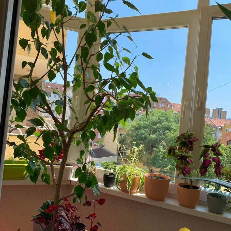 Četvorosoban stan na prodaju, Grbavica, Novi Sad, 79m², 4. sprat, 250.000 €