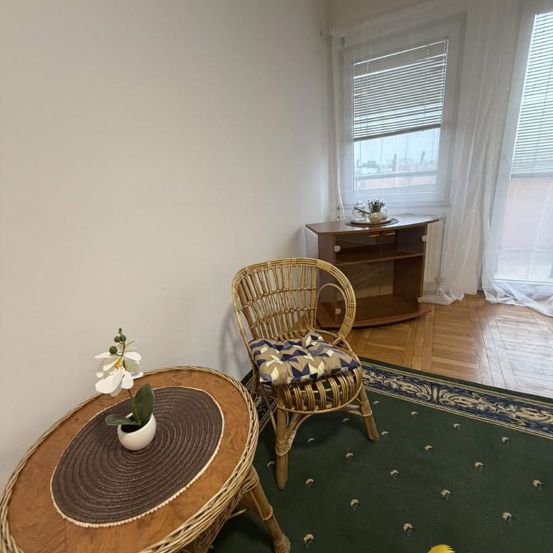 Garsonjera za izdavanje, Grbavica, Novi Sad, 28m², 300 €/mes