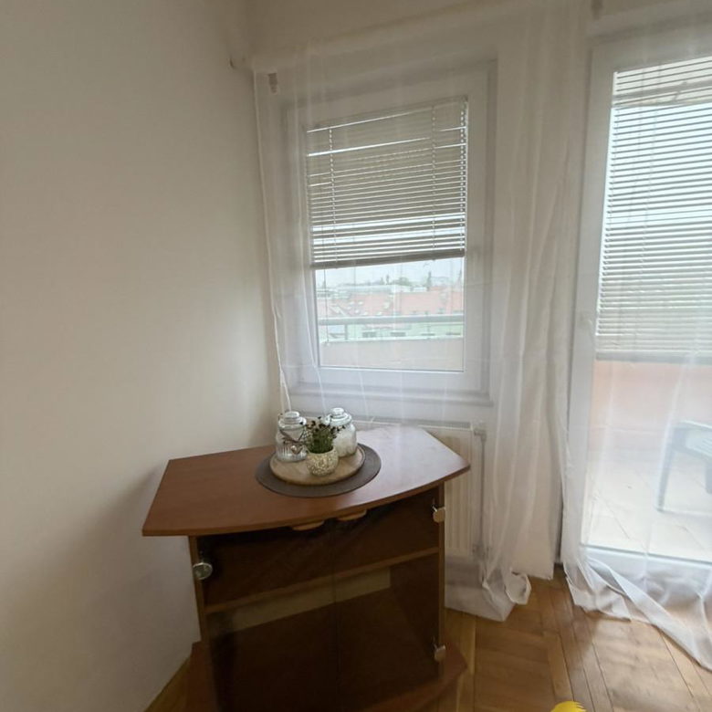Garsonjera za izdavanje, Grbavica, Novi Sad, 28m², 300 €/mes