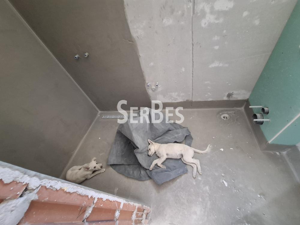 Dvoiposoban stan na prodaju, Alibegovac, Novi Sad, 55.21m², 90.990 €
