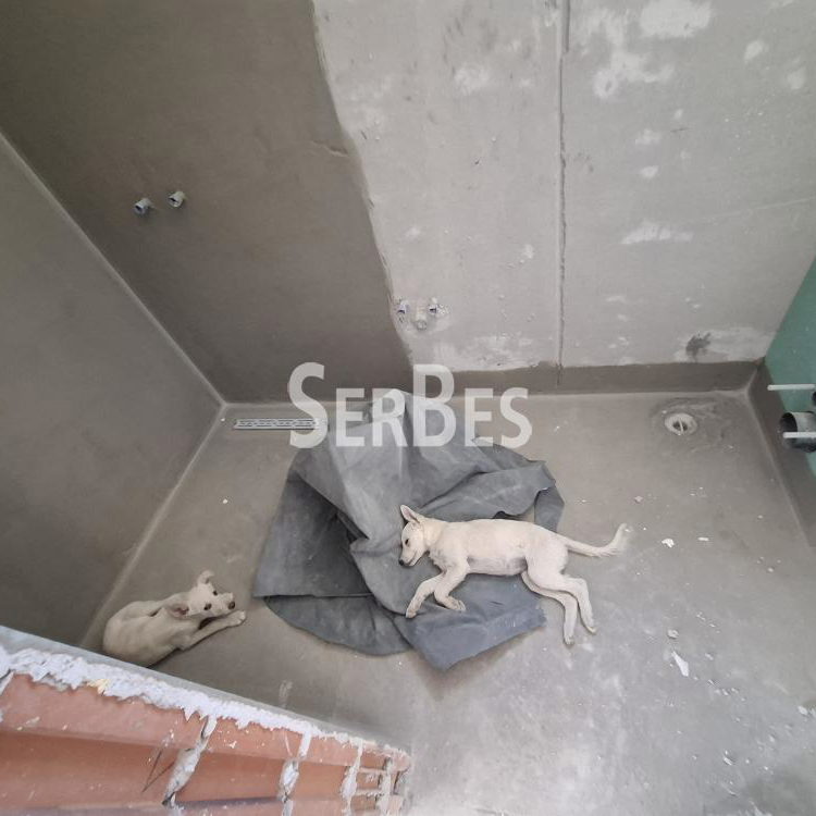 Dvoiposoban stan na prodaju, Alibegovac, Novi Sad, 55.21m², 90.990 €