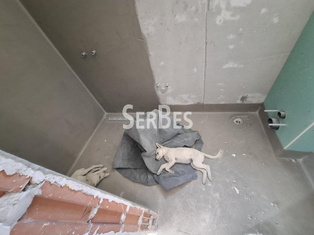 Dvoiposoban stan na prodaju, Alibegovac, Novi Sad, 55.21m², 90.990 €