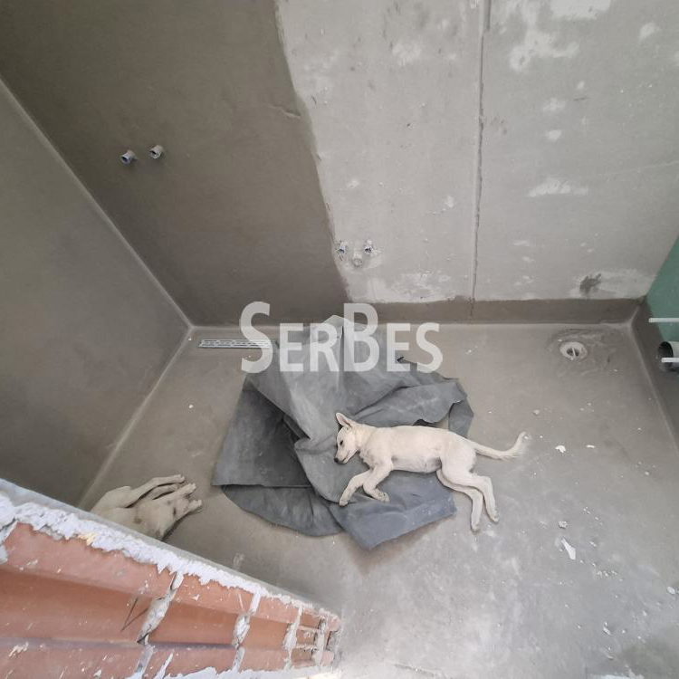 Dvoiposoban stan na prodaju, Alibegovac, Novi Sad, 55.21m², 90.990 €