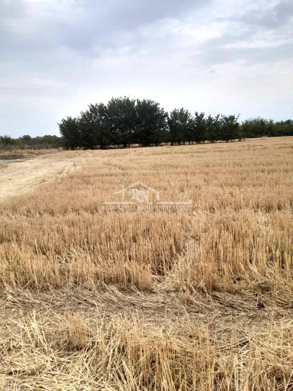 Plac Prodaja Beograd Plac Prodaja Beograd Rupčine 0 m2