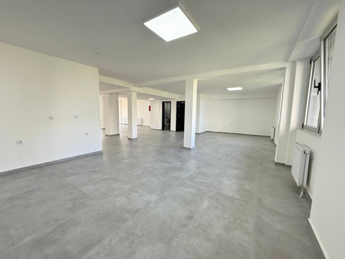 Lokal Izdavanje Novi Sad Bulevar Patrijarha Pavla 349 m2