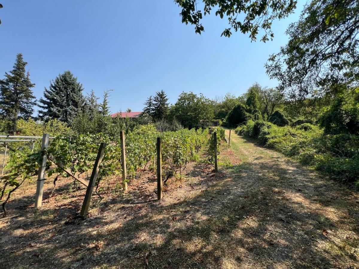 Kuća Prodaja Novi Sad Kuća Prodaja Novi Sad 99 m2