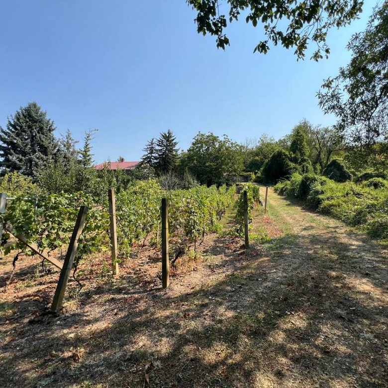 Kuća Prodaja Novi Sad  99 m2