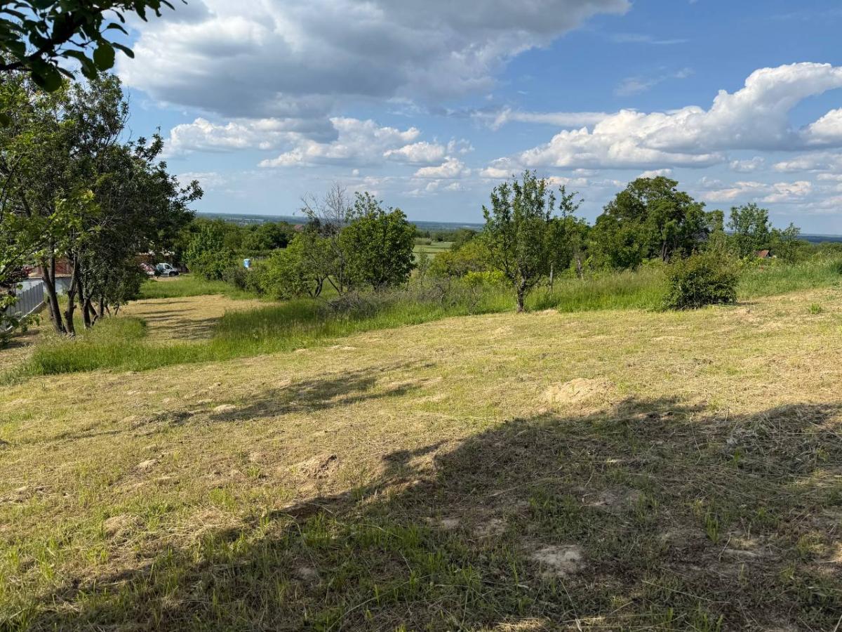 Plac Prodaja Novi Sad  954 m2