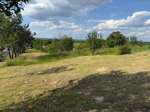 Plac Prodaja Novi Sad  954 m2