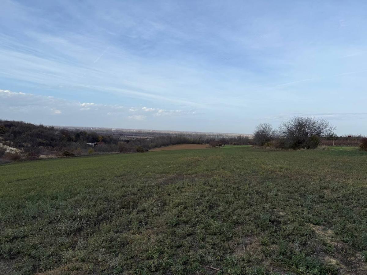 Plac na prodaju, Rakovac, Beočin, 24207m², 242.000 €