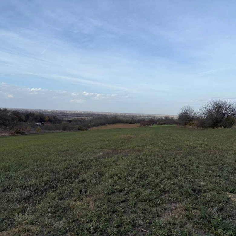 Plac na prodaju, Rakovac, Beočin, 24207m², 242.000 €