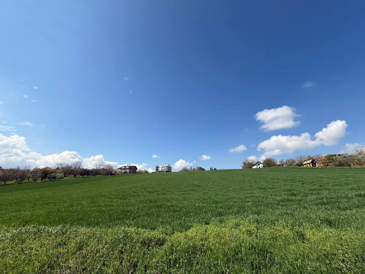 Plac Prodaja Novi Sad Plac Prodaja Novi Sad Popovica 8024 m2