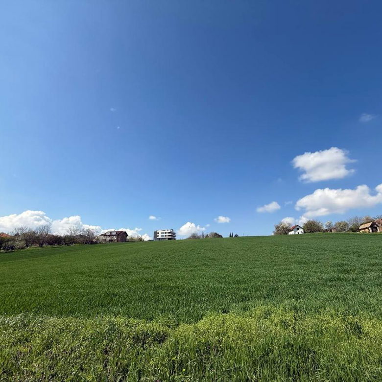 Plac Prodaja Novi Sad Popovica 8024 m2