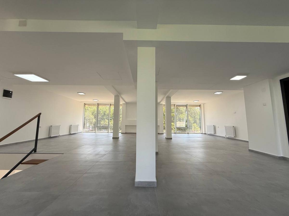Lokal Izdavanje Novi Sad Bulevar Patrijarha Pavla 349 m2