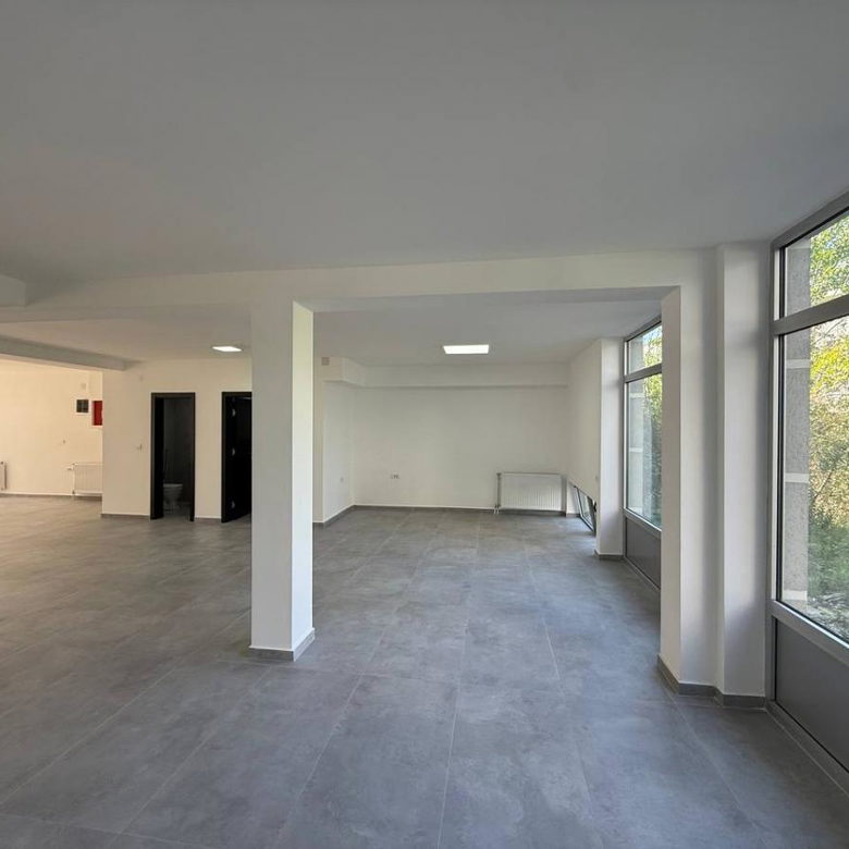 Lokal Izdavanje Novi Sad Bulevar Patrijarha Pavla 349 m2