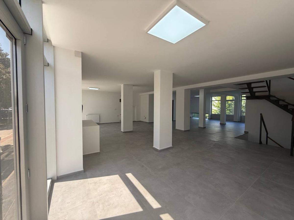 Lokal za izdavanje, Bulevar Patrijarha Pavla, Novi Sad, 349m², 3.000 €/mes