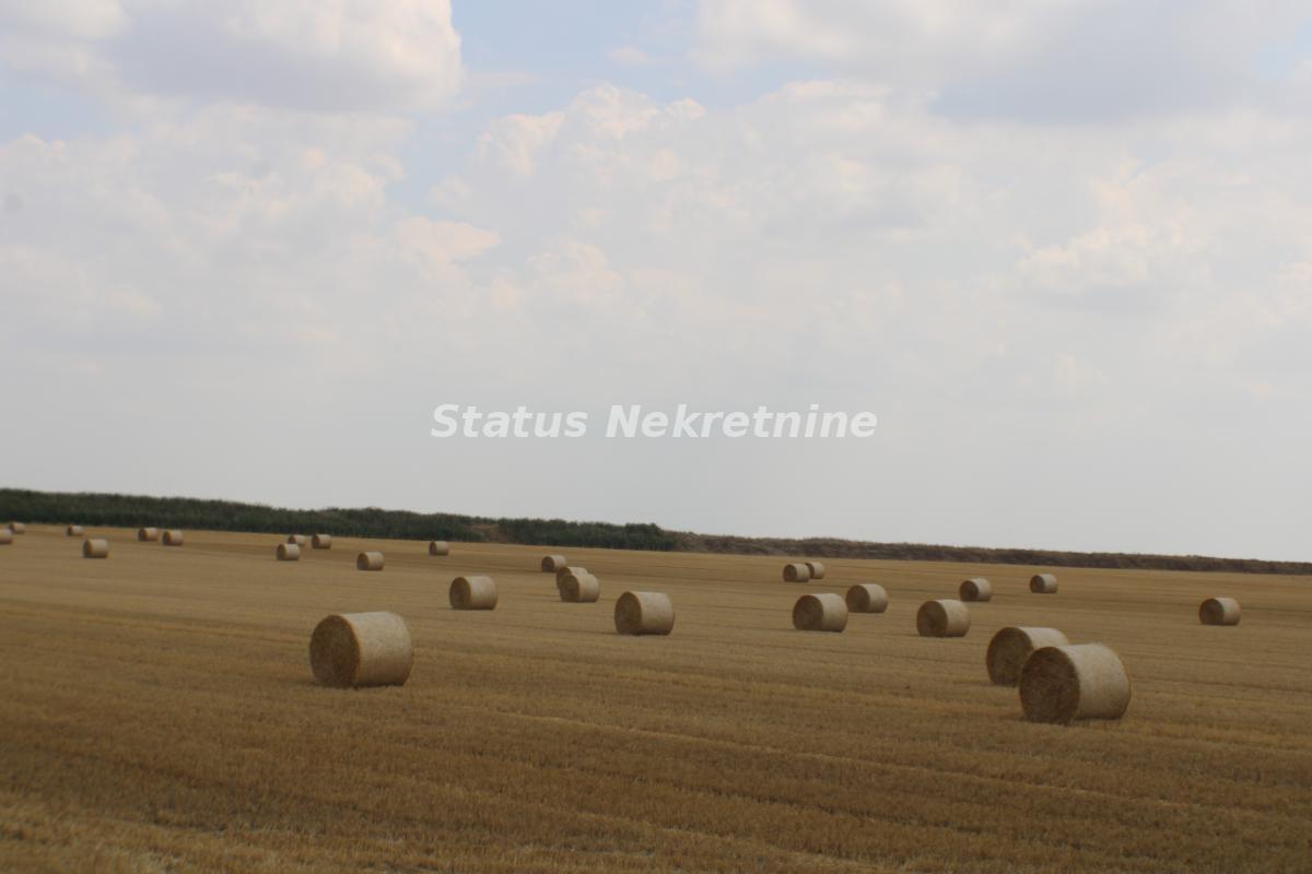 Plac Prodaja Vrbas Plac Prodaja Vrbas 0 m2